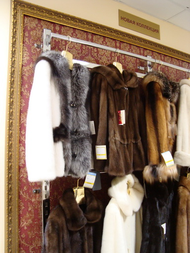 Магазины одежды и аксессуары 5