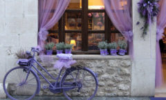 Визуализация магазина цветов АРОМАТНЫЙ МИР Картинка 12